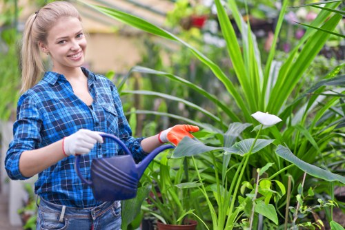 Tree surgery payment security overview for Kilburn customers