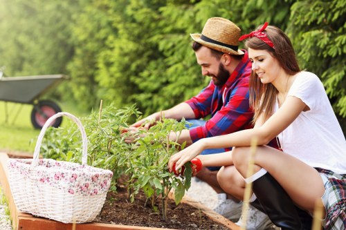 Tree Surgeons Kilburn website cookie policy introduction