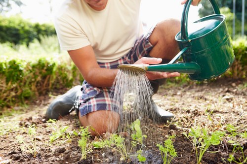 Professional tree surgery for homes and businesses in Kilburn
