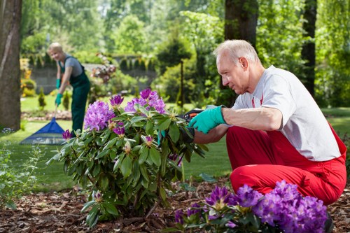 Load-based waste removal estimate for tree surgery in Kilburn