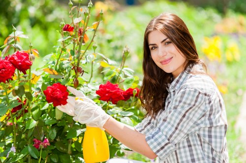 Careful hedge cutting for communal and commercial properties
