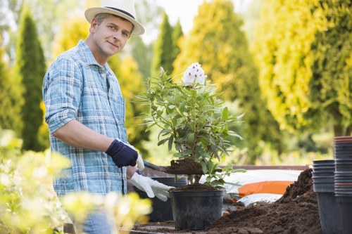 Grinding a stump below ground level to prepare a garden for landscaping