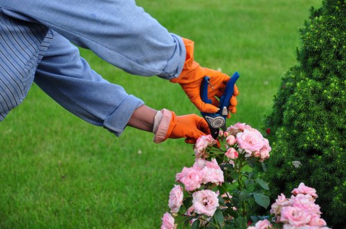 Tree care company finalising a complaint record and outcome