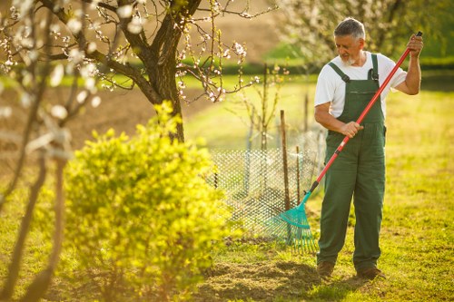 Free quote assessment for tree work near a Kilburn home